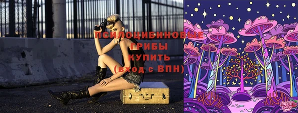 ПСИЛОЦИБИНОВЫЕ ГРИБЫ Алексеевка