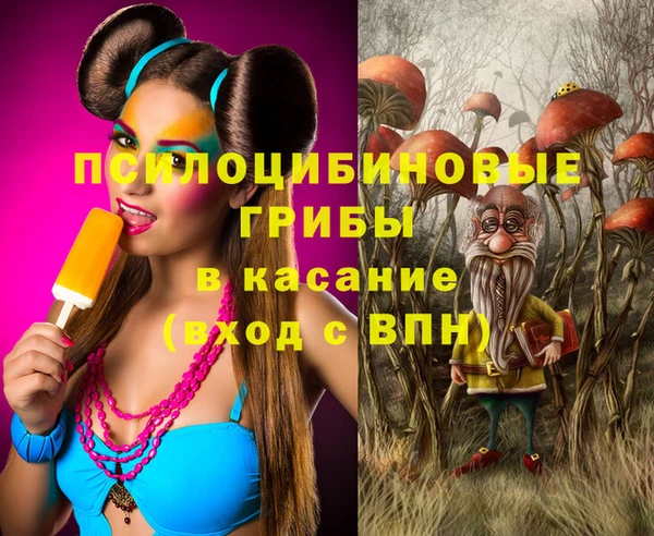 бошки Алзамай